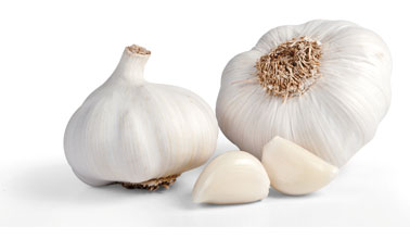 White Spring Garlic