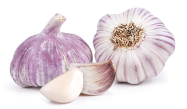 Violet Spring Garlic